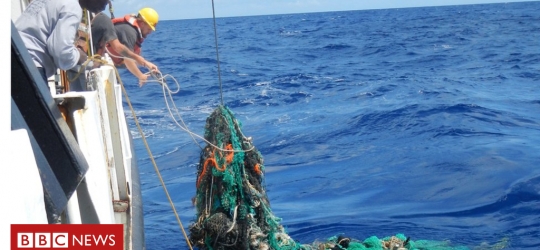 Plastic in Pacific ‘growing rapidly’