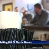 Biodegradable straws replacing plastic in effort to cut back on litter