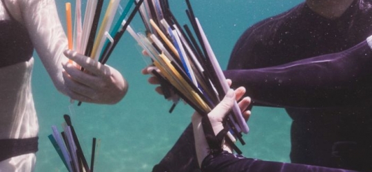 The problem with an outright ban on plastic straws