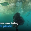 NSW won’t ban plastic bags, but Eritrea, Kenya and Rwanda all do