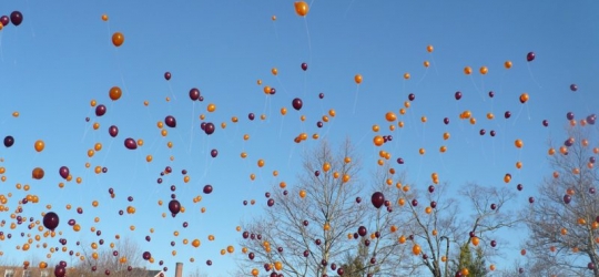 Environmental Calls Made to End the Releasing of Balloons in Brighton – UK