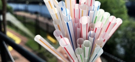 Importation of plastic bags, straws, cotton buds banned from 1 January – Malta