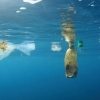 The role of business to help reduce plastic pollution – Australia