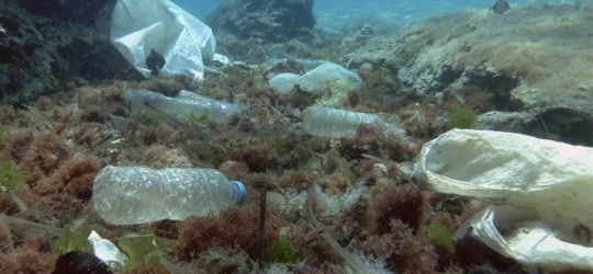 CSIRO pledge to reduce Australian plastic pollution – Australia
