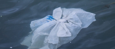 NSW bans single-use plastic bags, ACT cracks down on straws – Australia