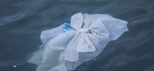 NSW bans single-use plastic bags, ACT cracks down on straws – Australia
