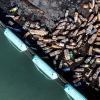 Ocean plastic: How tech is being used to clean up waste problem